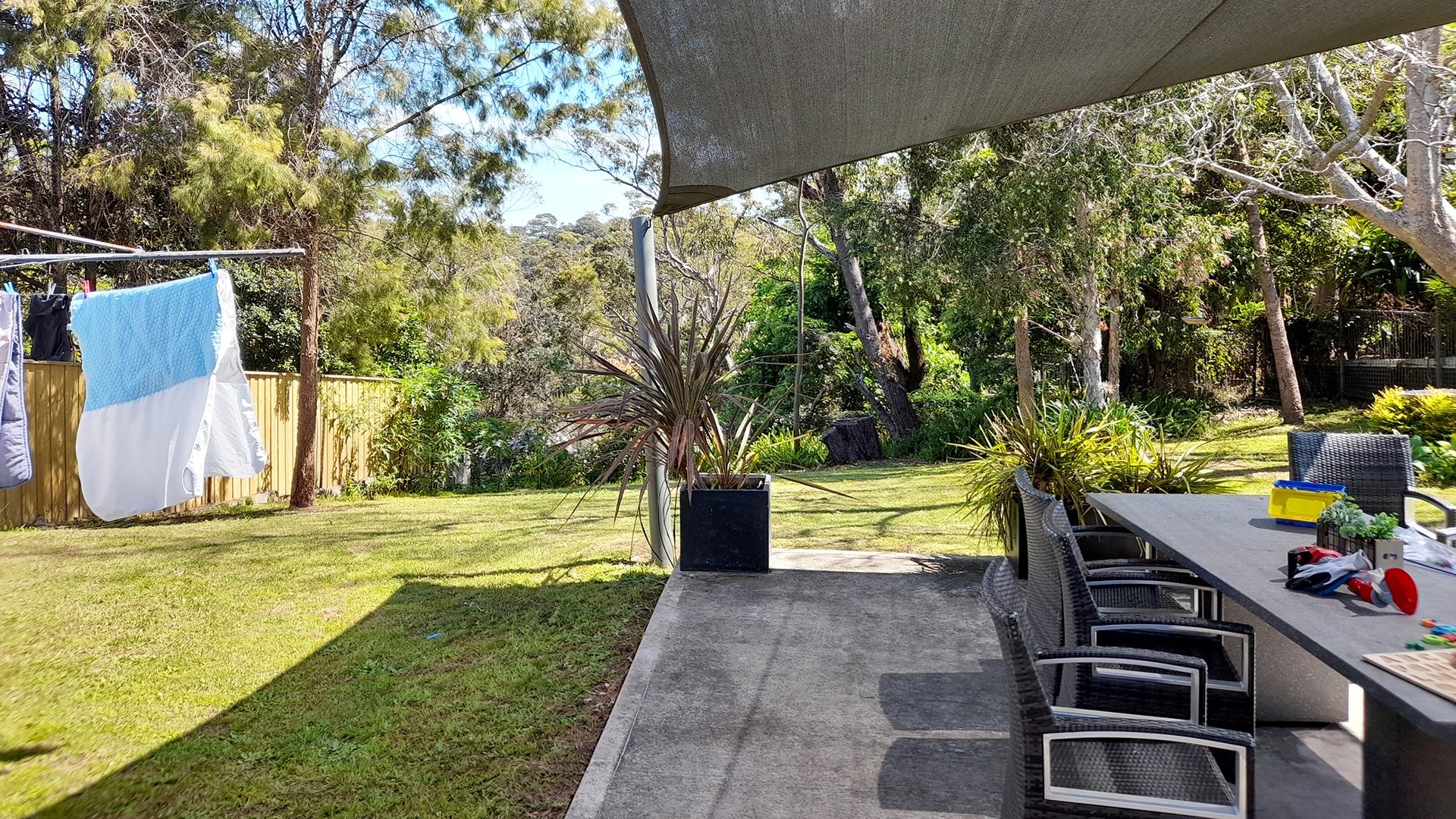 The backyard with large grassed area, trees and undercover outdoor dining area.