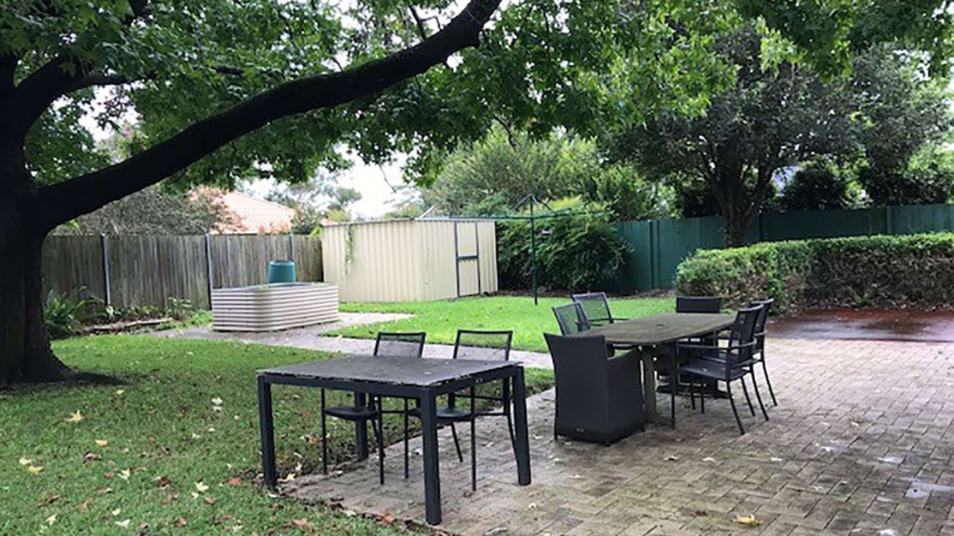 Grassed backyard with large tree, shed and garden beds.