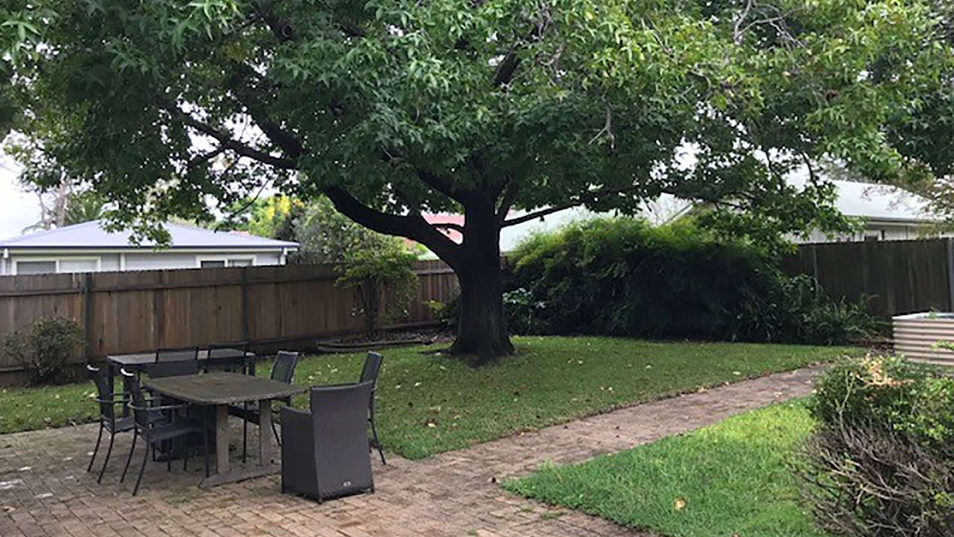 Backyard with large tree and grassed area with garden beds.
