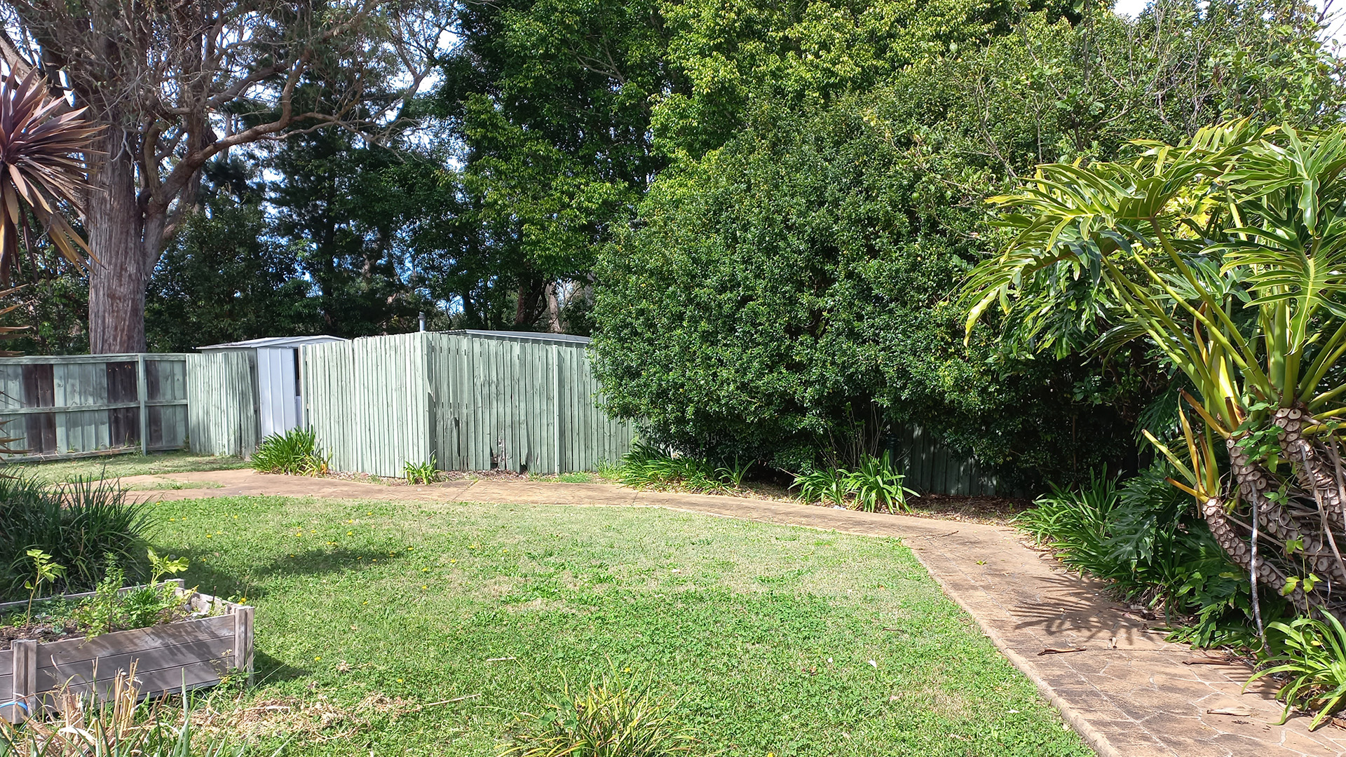 A view of a grassed backyard with a fence and large trees.