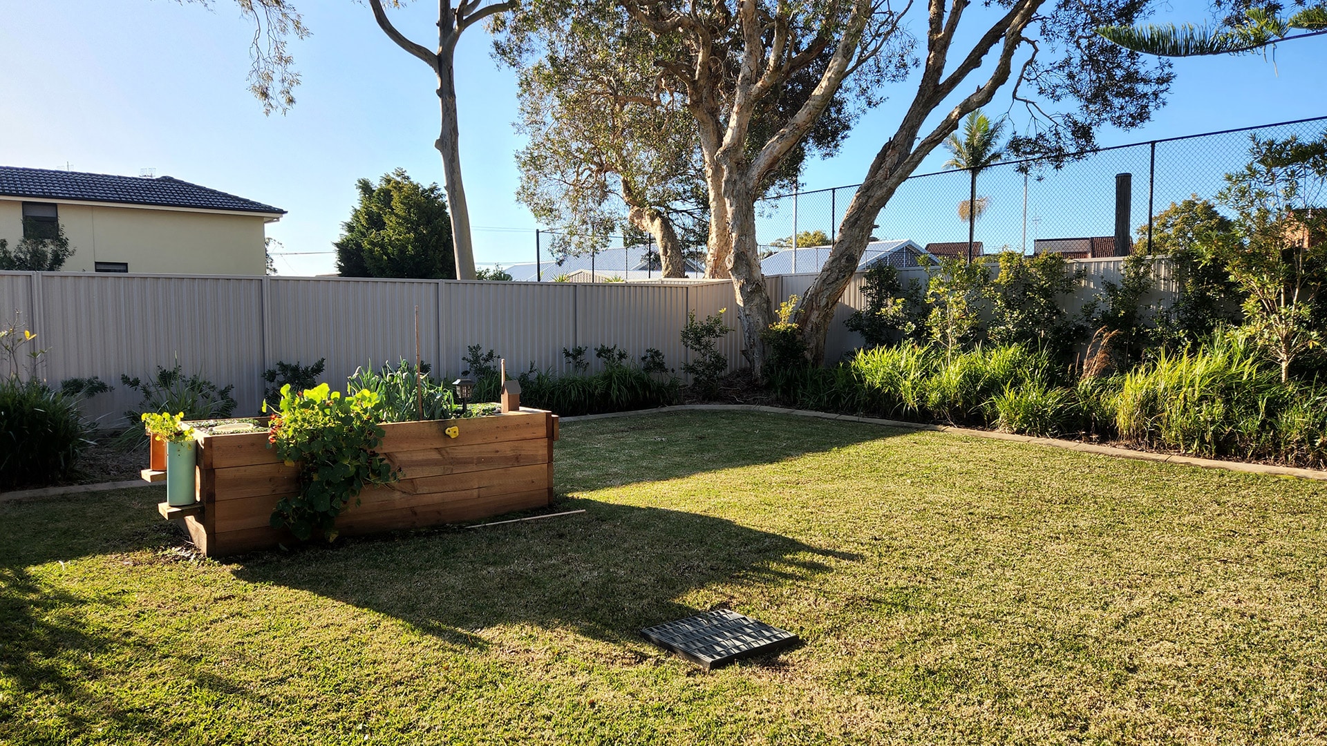 View of the backyard with a large grassed area and garden beds.