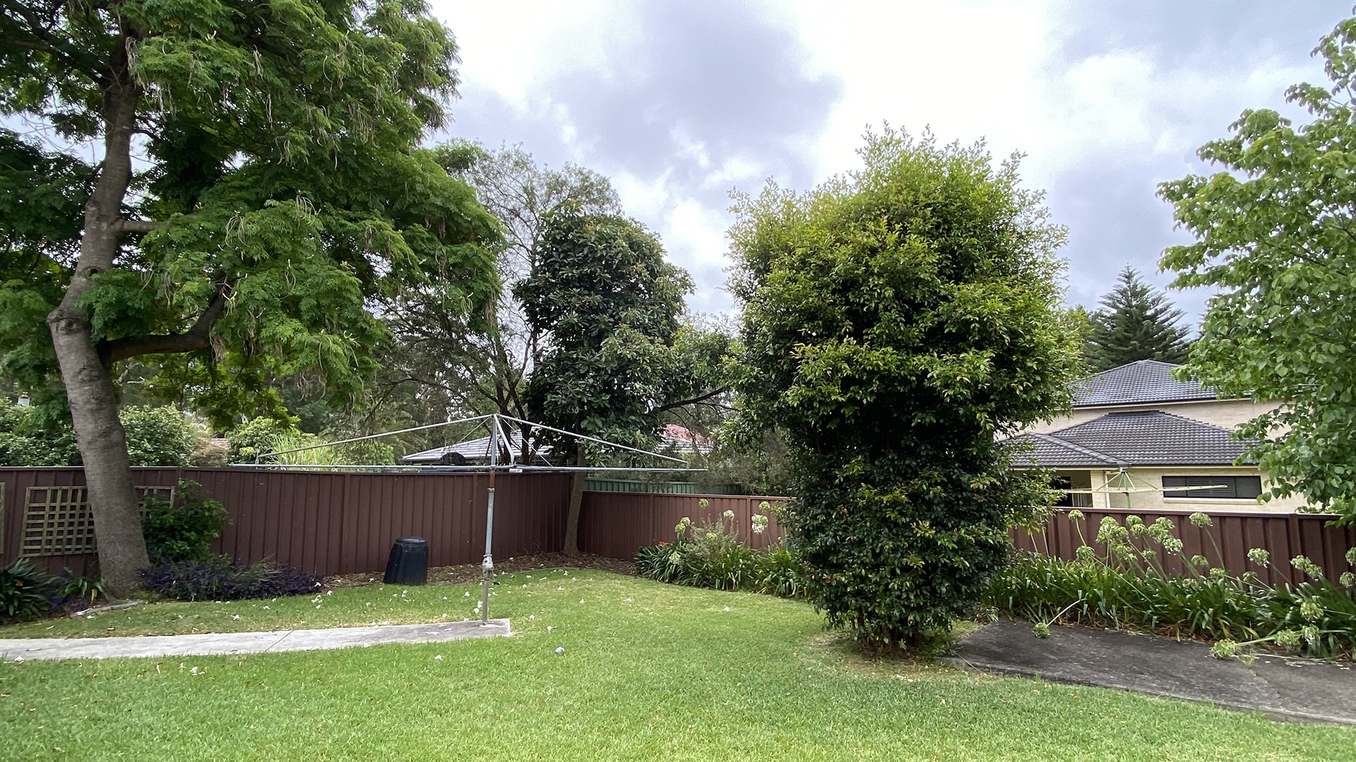 Fenced back garden with large grassed areas, trees and a clothesline at the Marsfield 2 property