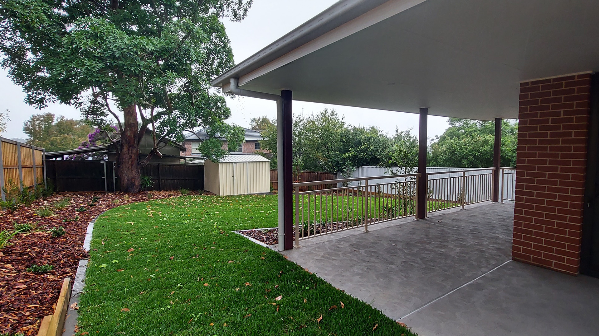 Backyard at the Normanhurst 4 property, featuring an undercover area connected to the house, grassed lawn, white shed and large tree in the corner.