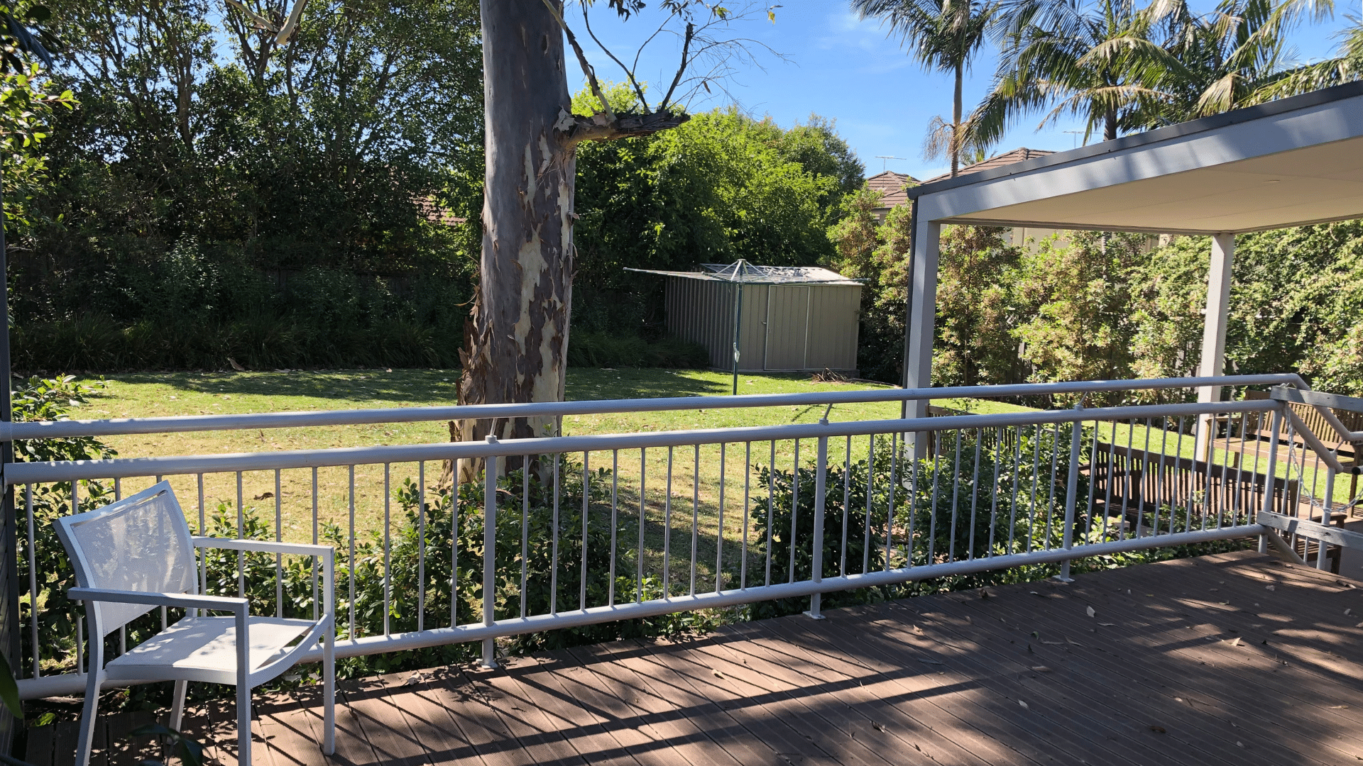 Frenchs Forest 2 (16077)_Backyard