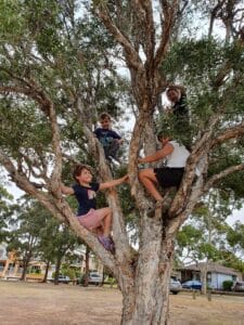 kids climbing a tree