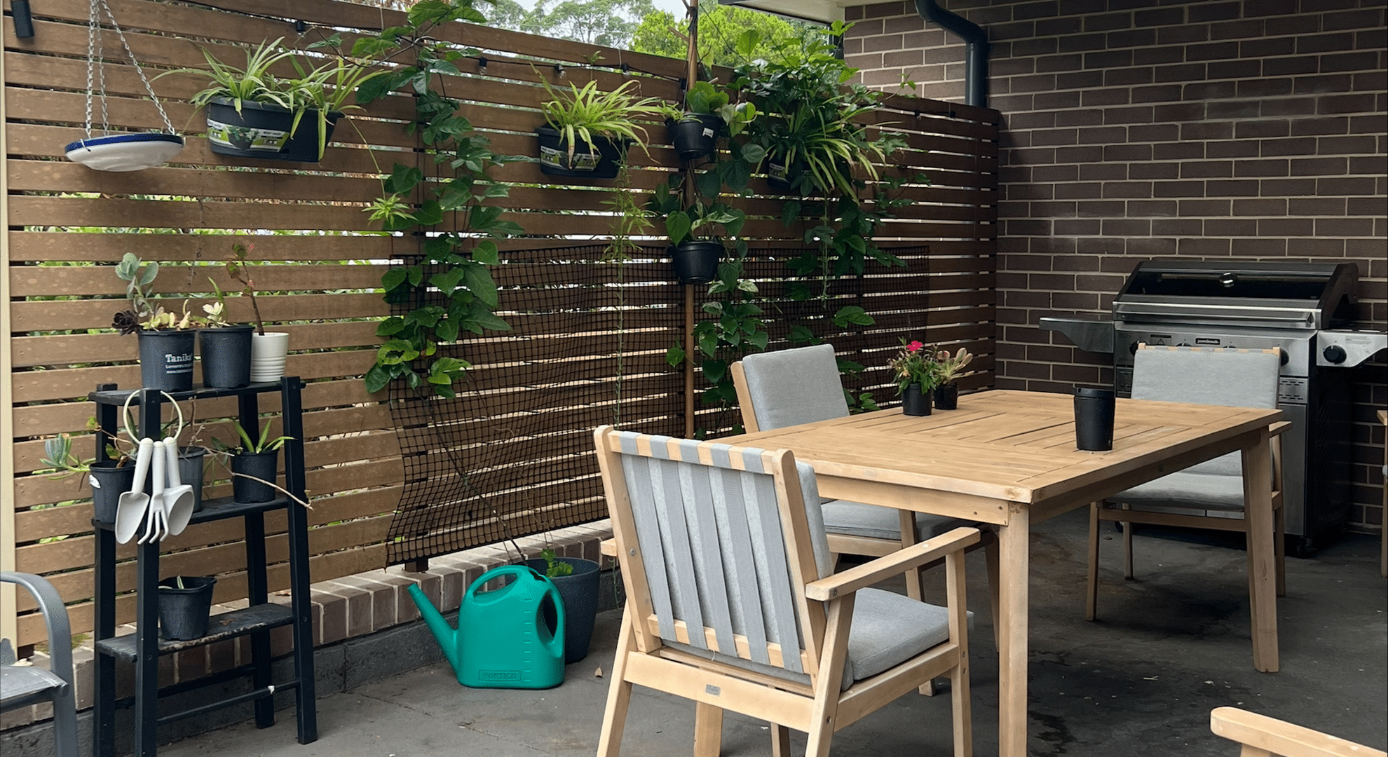 View of an undercover out entertaining area, with plants, dining table and bbq.