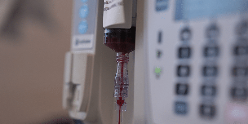 cord blood