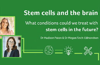 headshots of Dr Madison Paton and Dr Megan Finch-Edmondson alongside the title Stem cells and the brain. What conditions could we treat with stem cells in the future.