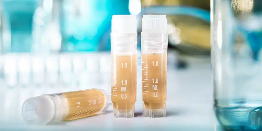 Small vials on a desk in a lab