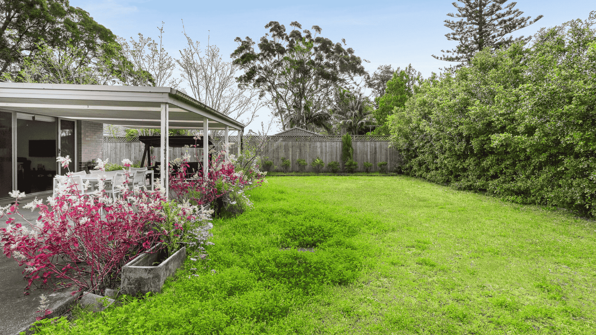 Churchill_Backyard2