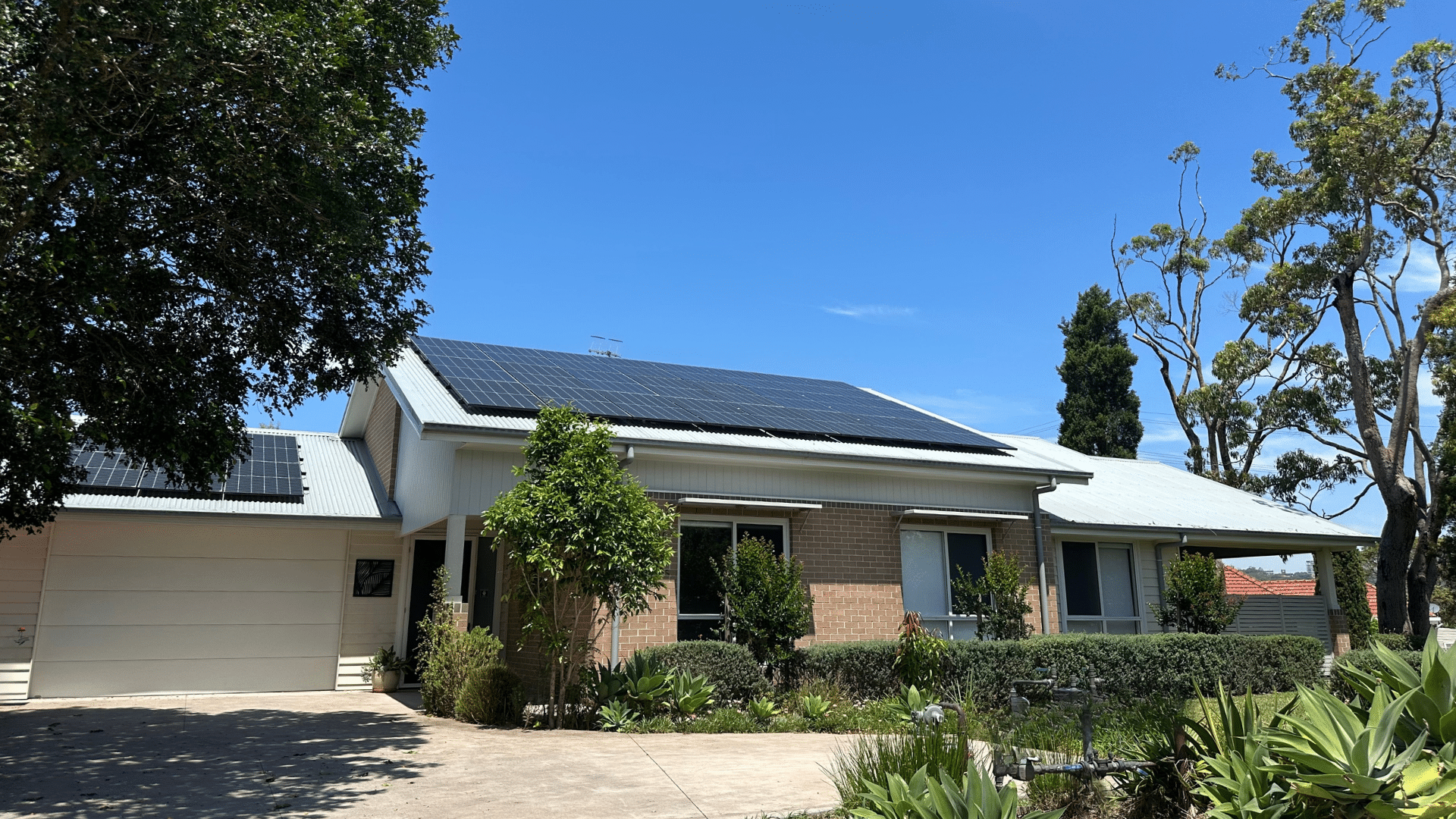 Kotara 1 (19943)_Front 2