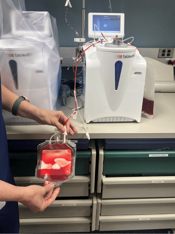 Preparation of cord blood unit for treatment.