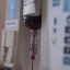 cord blood