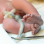 Newborn baby shown from the chest down with the umbilical cord being clamped